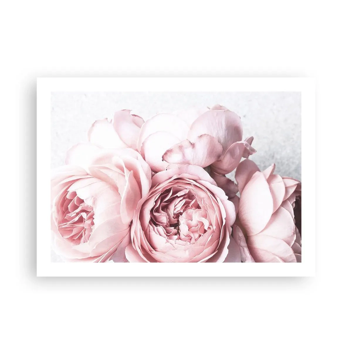 Poszter - A romantikusoknak - 70x50 cm