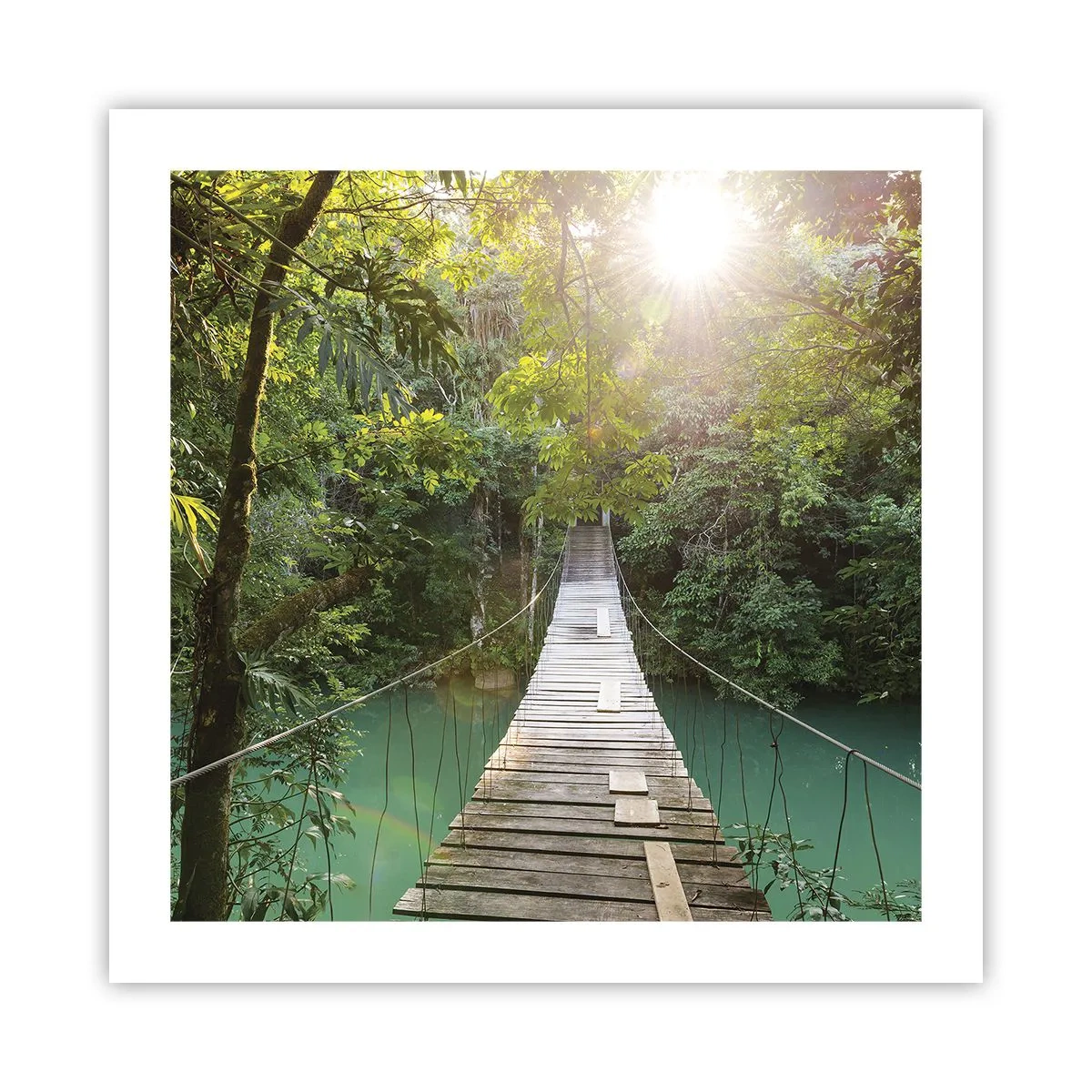 Poszter - Az azúrkék vízen át az azúrkék erdőbe - 50x50 cm