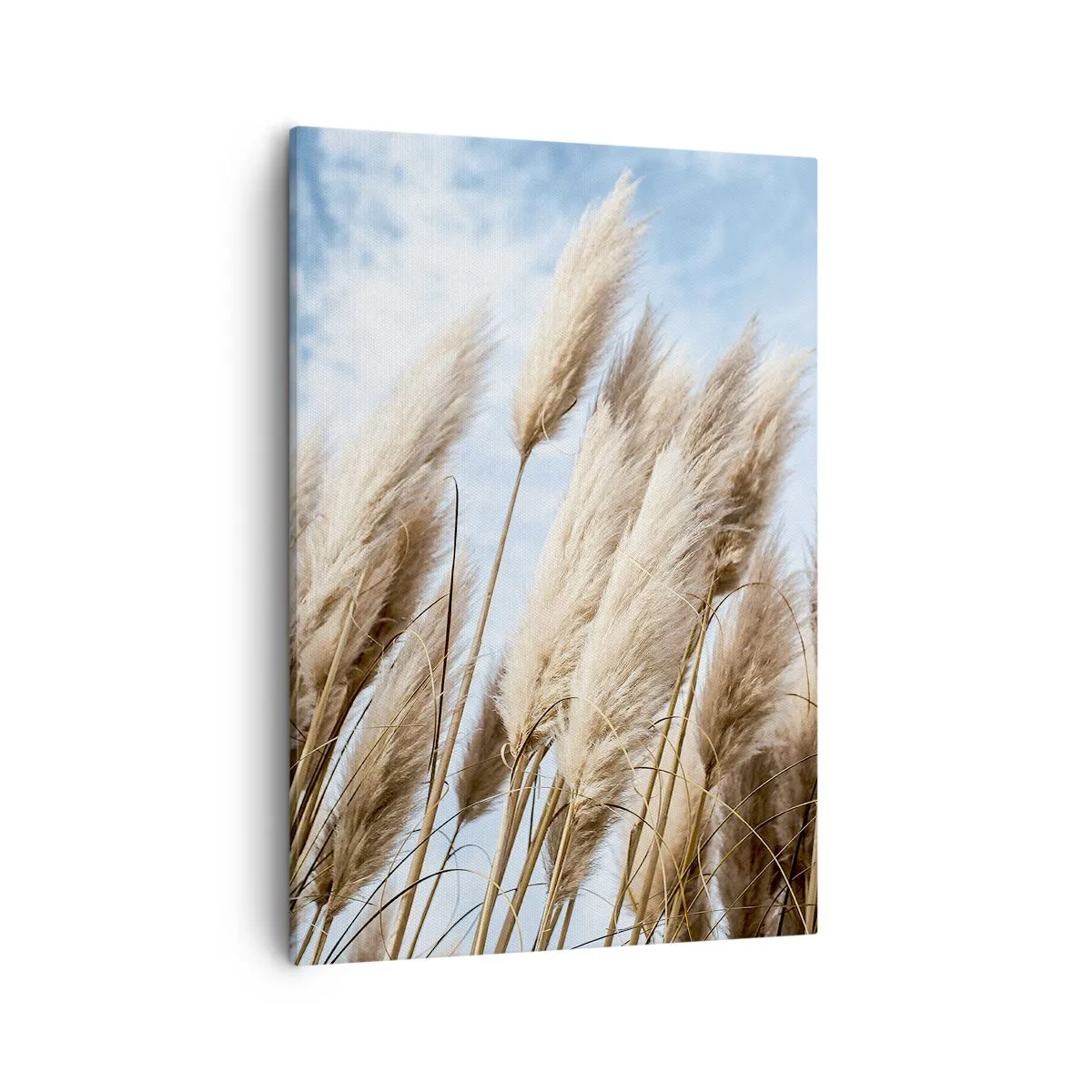 Vászonkép - Napos és szeles simogatás - 50x70 cm