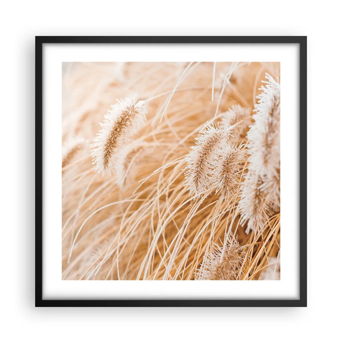 Poszter fehér keretben - A fű arany susogása - 50x50 cm
