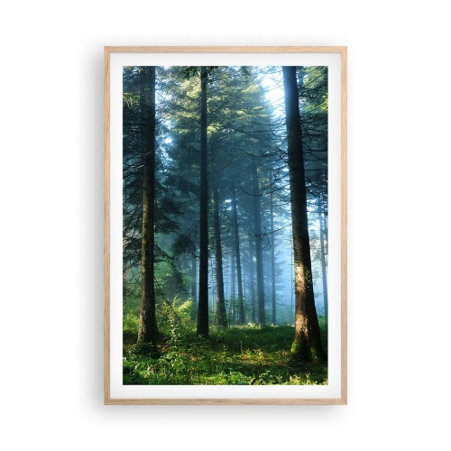 Poszter világos tölgy keretben - Sugárzó reggel - 61x91 cm