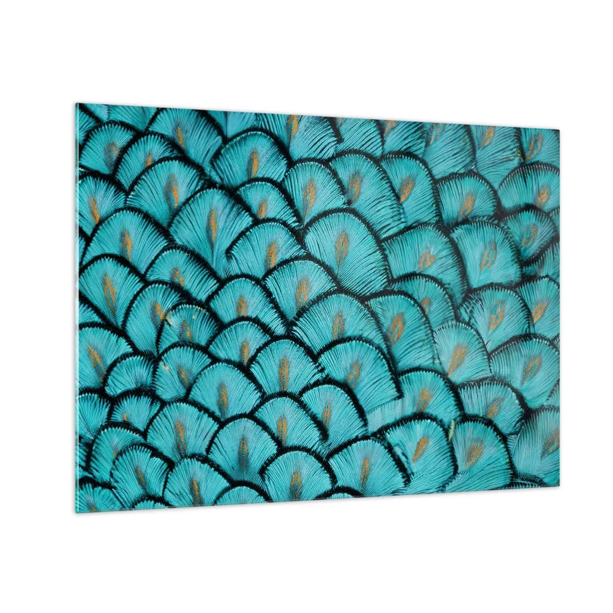 Üveg kép - Türkiz pávatollak közeli képe, amelyek dekoratív mintát alkotnak. - 70x50cm - A tollak nagy gálája - Modern fali dekoráció nappalihoz és hálószobához ARTTOR