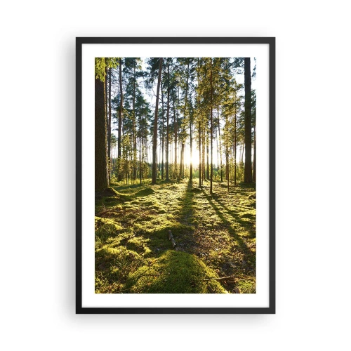 Poszter fehér keretben - Zöld erdő reggel a felkelő nap sugaraival - 50x70cm - … A hét erdőn túl - Modern fali dekoráció nappalihoz és hálószobához ARTTOR