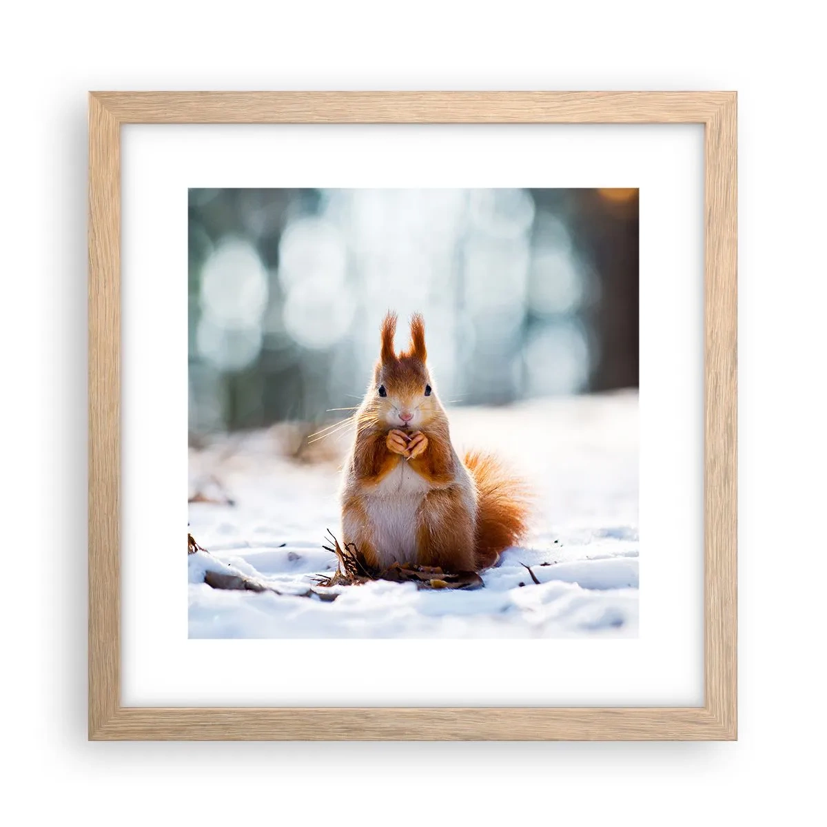 Poszter világos tölgy keretben - Mit nézel? - 30x30 cm