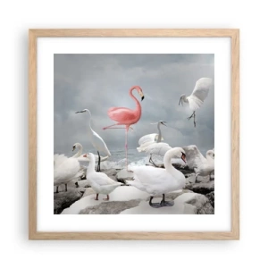 Poszter világos tölgy keretben - Hogy kerültem ide? - 40x40 cm