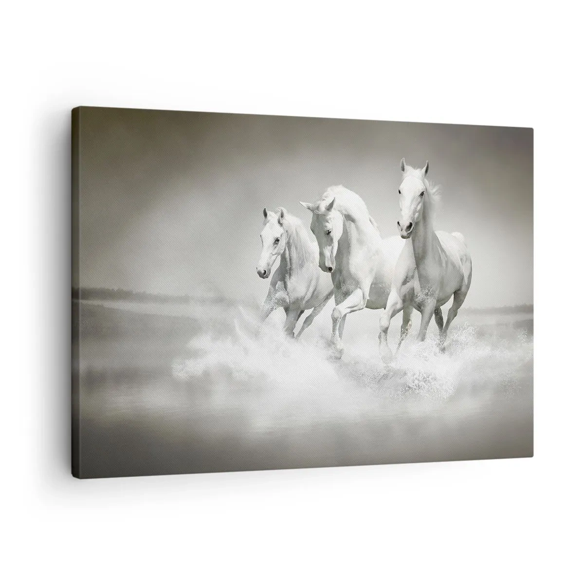 Vászonkép - Három fehér ló vágtat át a vízen - 70x50cm - Fehér őrület - Modern fali dekoráció nappalihoz és hálószobához ARTTOR