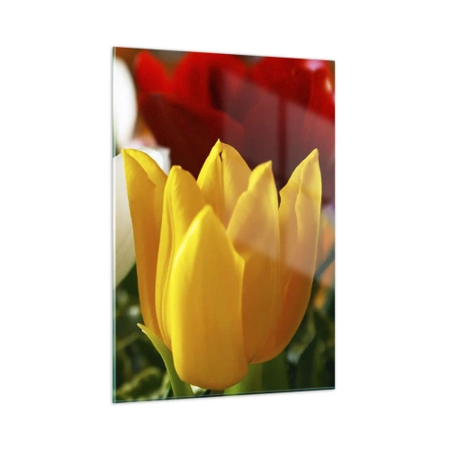 Üveg kép - Tulipán láz - 50x70 cm