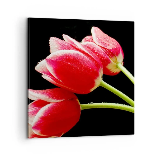 Vászonkép - A tiszta szerelem ígérete - 60x60 cm