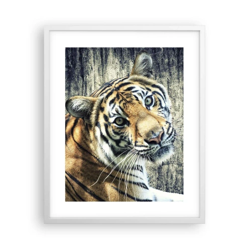 Poszter fekete keretben - Portré a fénysugárban - 40x50 cm