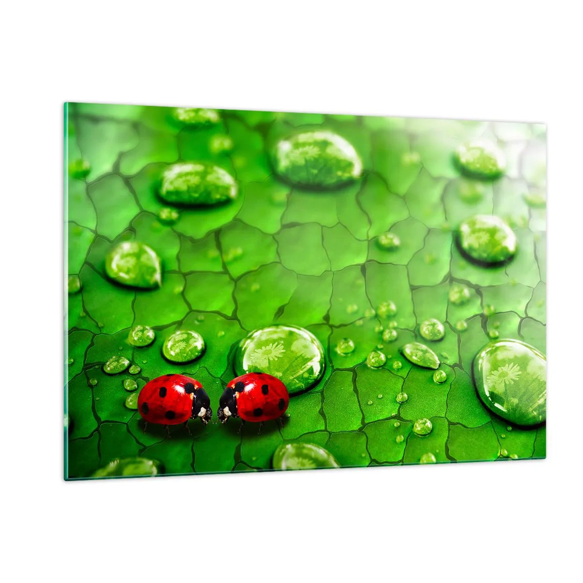 Üveg kép - Találkozás a zöldben - 120x80 cm