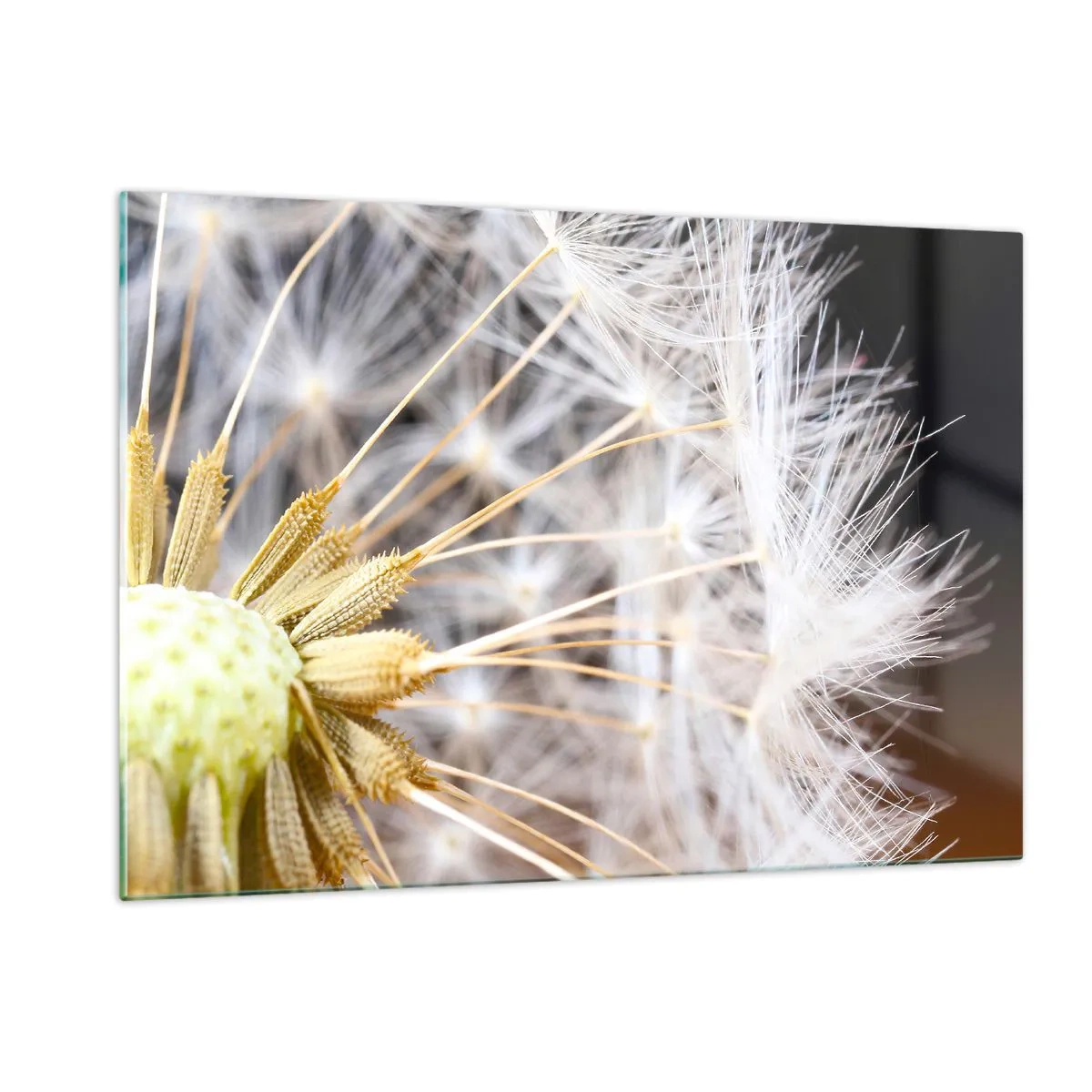 Üveg kép - Közvetlenül az indulás előtt - 120x80 cm