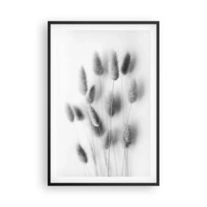 Poszter fehér keretben - A bolyhos fű - 61x91 cm