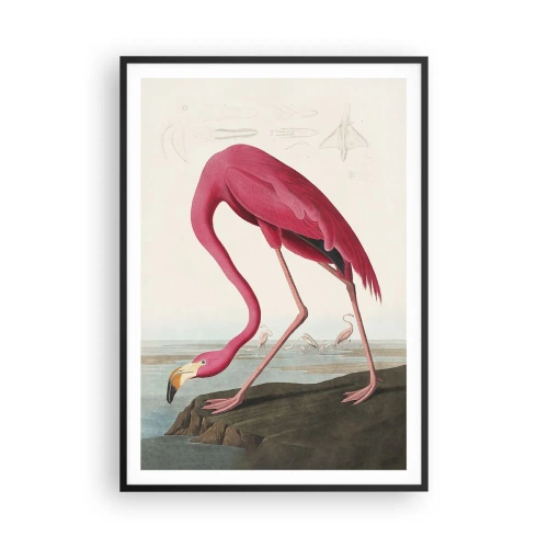 Poszter fehér keretben - Csodálatos teremtmény - 70x100 cm