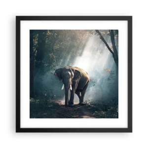 Poszter fehér keretben - Nyugodt séta - 40x40 cm