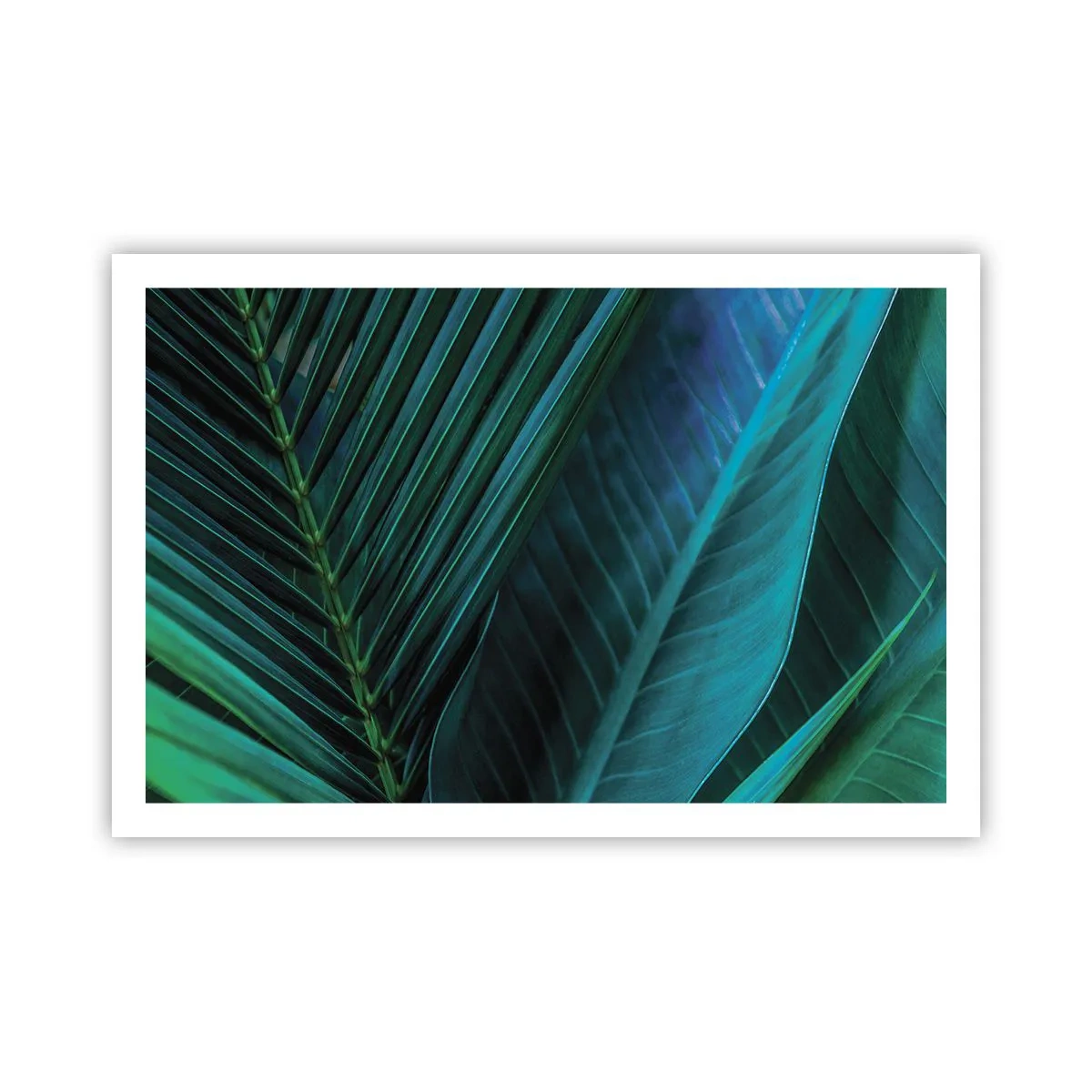 Poszter - A zöld anatómiája - 91x61 cm