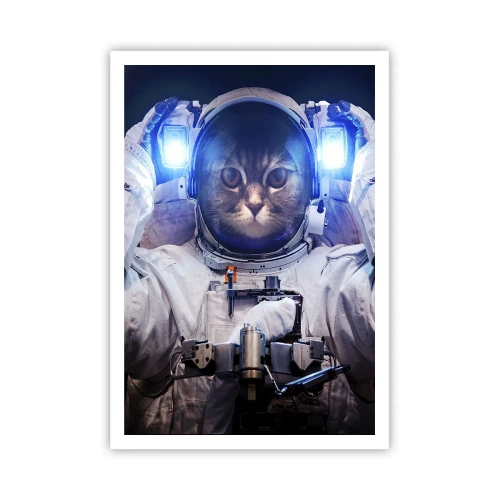 Poszter - Houston, baj van - 70x100 cm