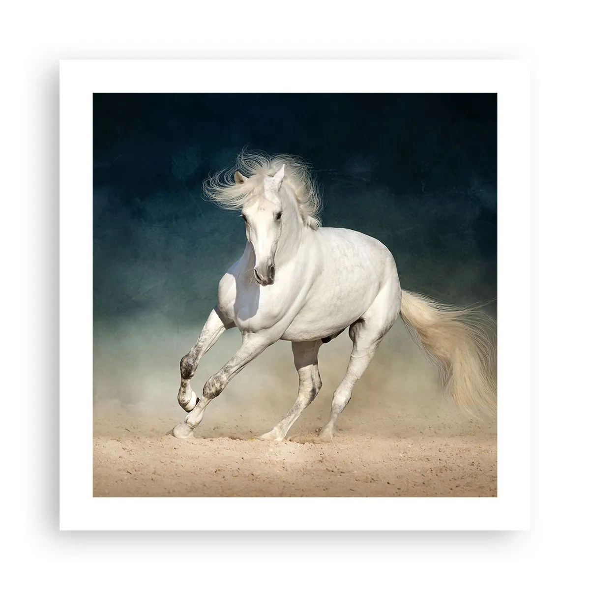 Poszter - A szabadság tiszta állapotban - 50x50 cm