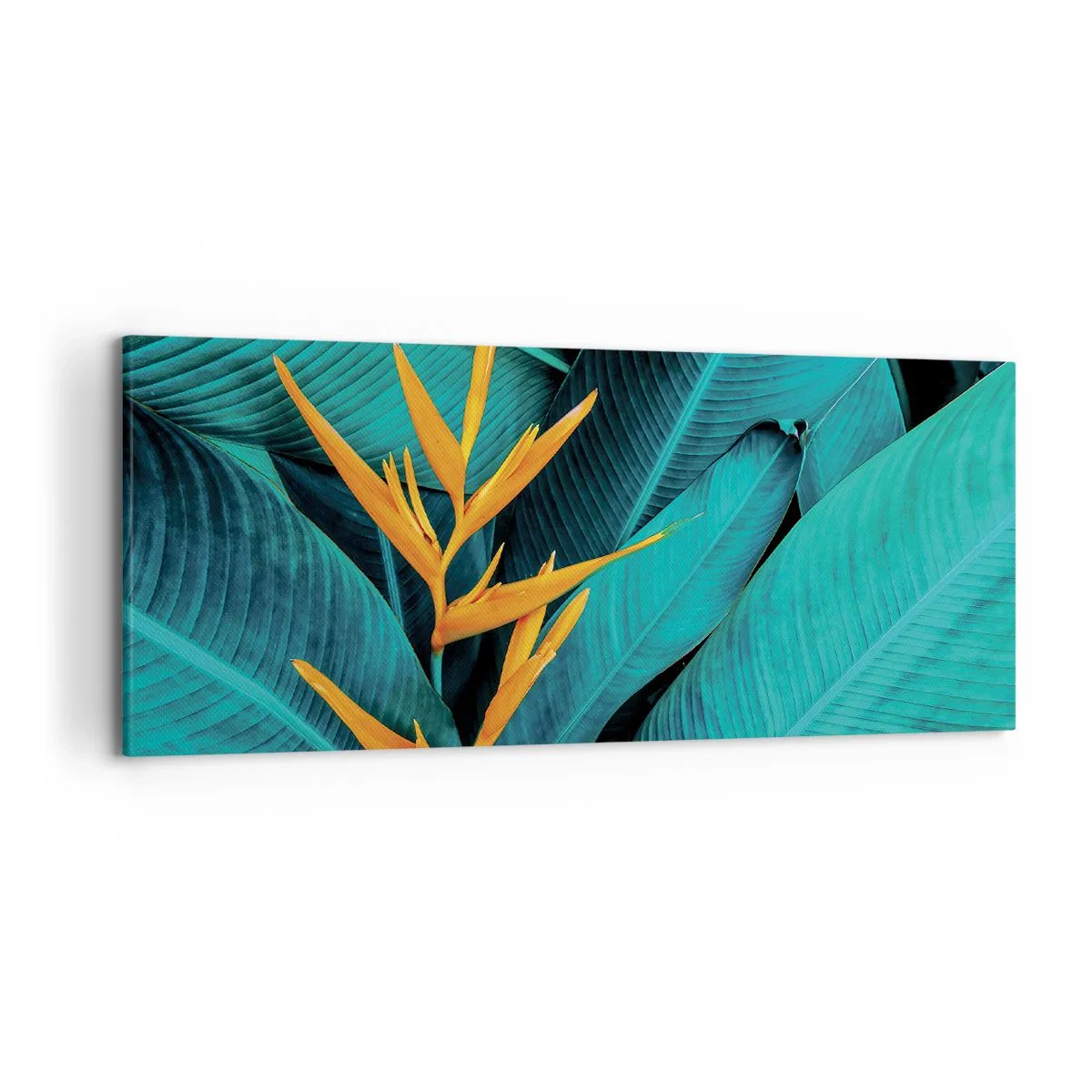 Vászonkép - Éden virága - 120x50 cm