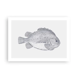 Poszter - A természettudós albumába - 70x50 cm