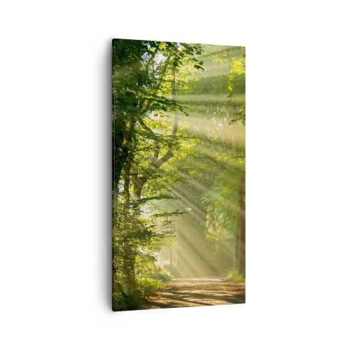Vászonkép - Erdei pillanat - 55x100 cm