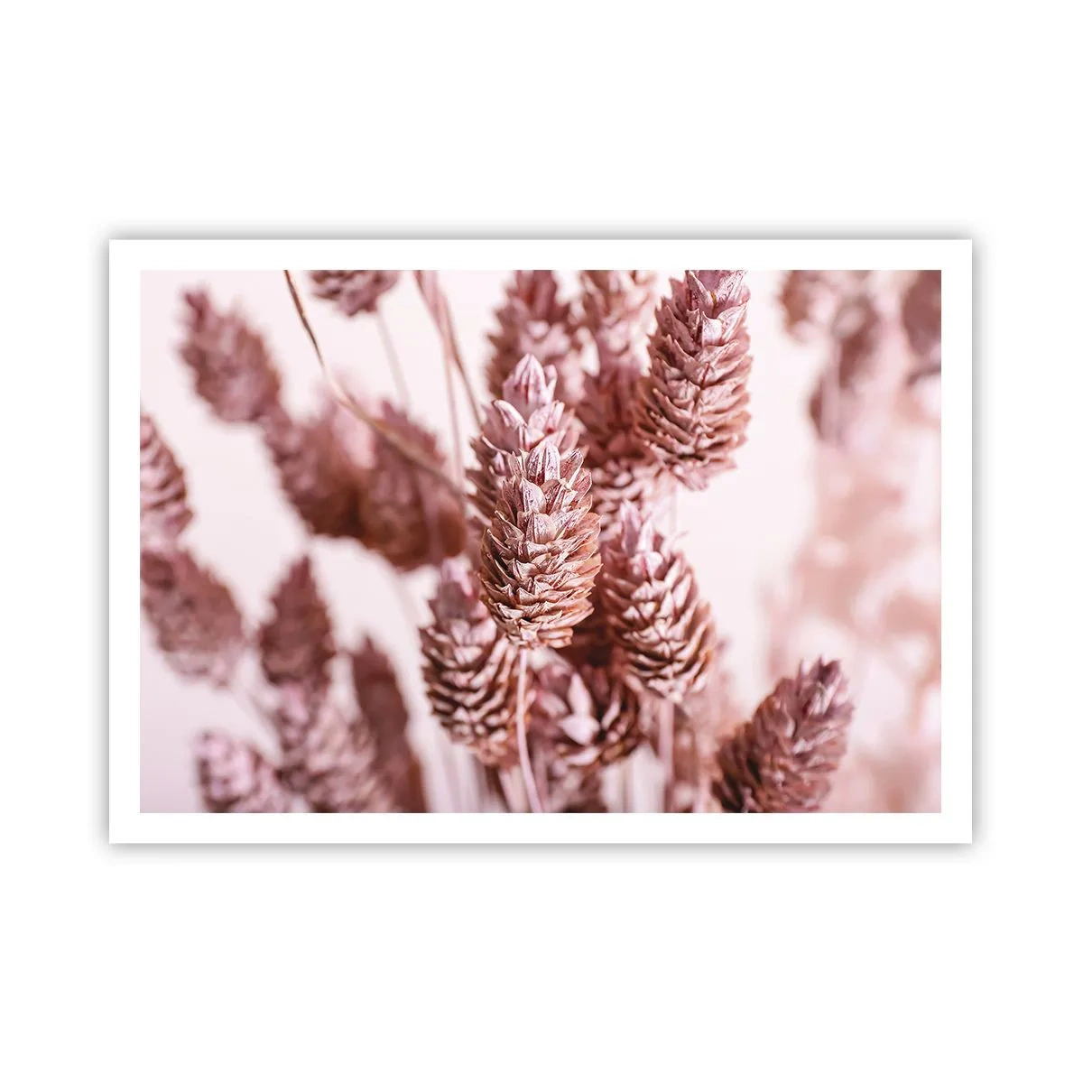 Poszter - Látszólag feltűnő - 100x70 cm