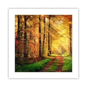 Poszter - Erdei, arany csend - 40x40 cm