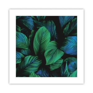 Poszter - A zöld tömegben - 40x40 cm