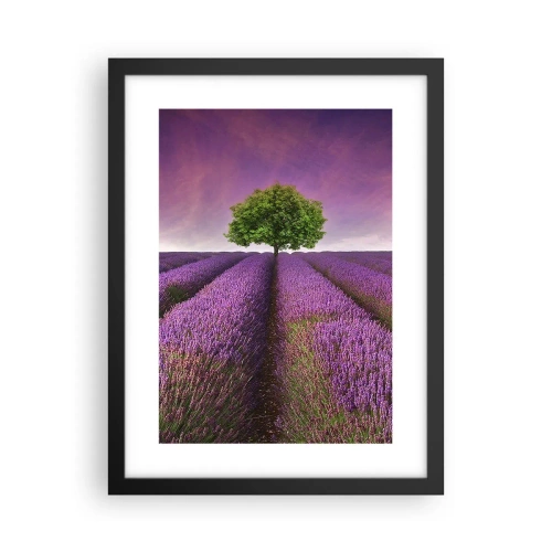 Poszter fehér keretben - Levendulaföldeken - 30x40 cm