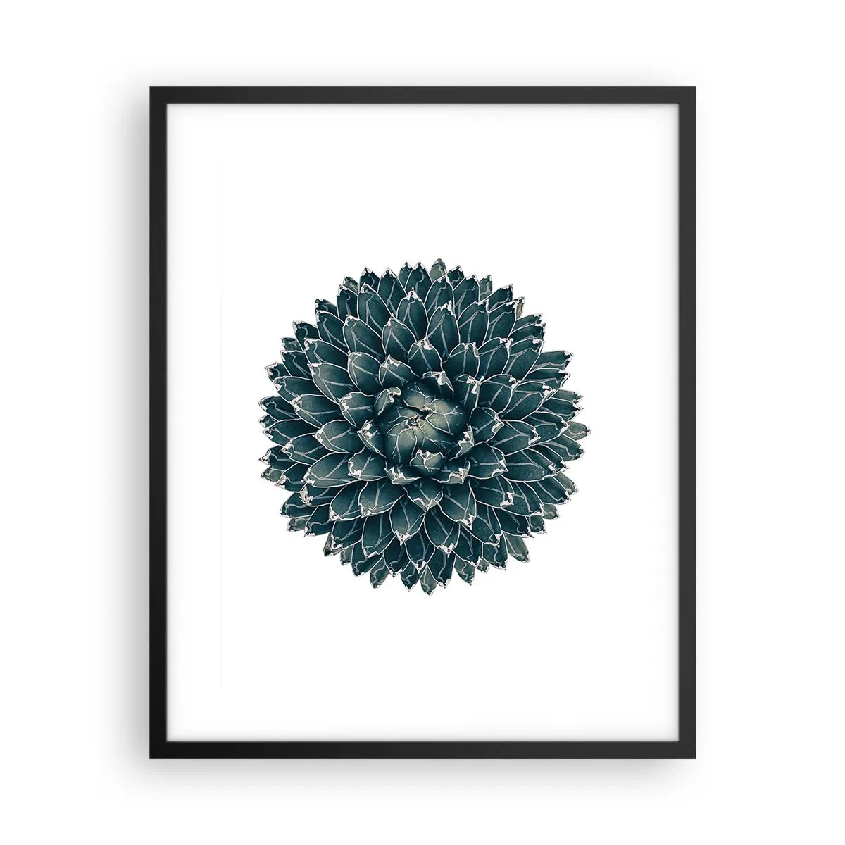 Poszter fehér keretben - A sivatag csillaga - 40x50 cm