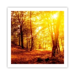 Poszter - Az arany tisztás felé - 60x60 cm