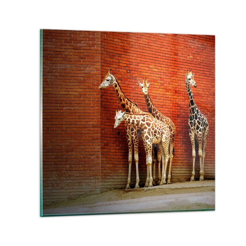 Üveg kép - Láttok akácot? - 40x40 cm