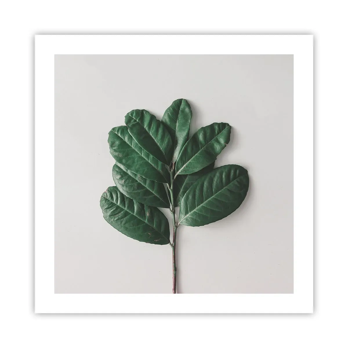 Poszter - Rajz csak a természetről - 50x50 cm