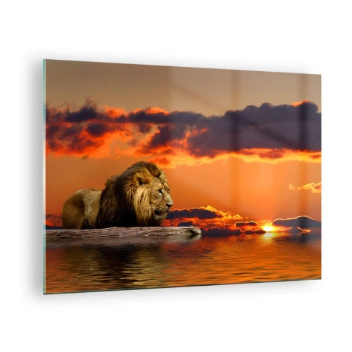 Üveg kép - Oroszlán a lenyugvó nap hátterében - 70x50cm - A természet királya - Modern fali dekoráció nappalihoz és hálószobához ARTTOR