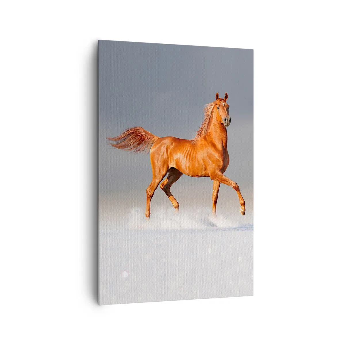 Vászonkép - Táncoló szépség - 80x120 cm