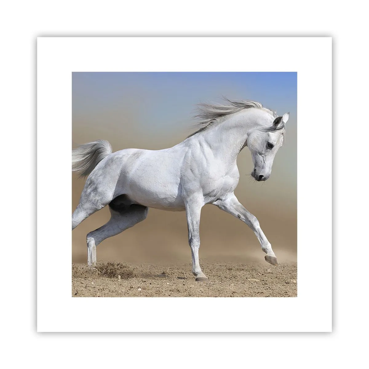 Poszter - A legszebb arab tündérmese - 30x30 cm