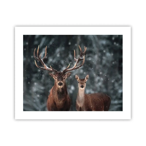 Poszter - Az erdő ura a feleségével - 50x40 cm