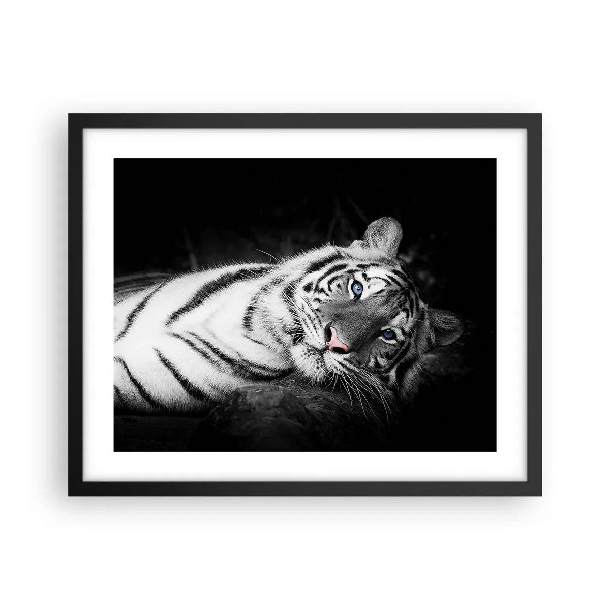 Poszter fehér keretben - Vadság és nyugalom - 50x40 cm