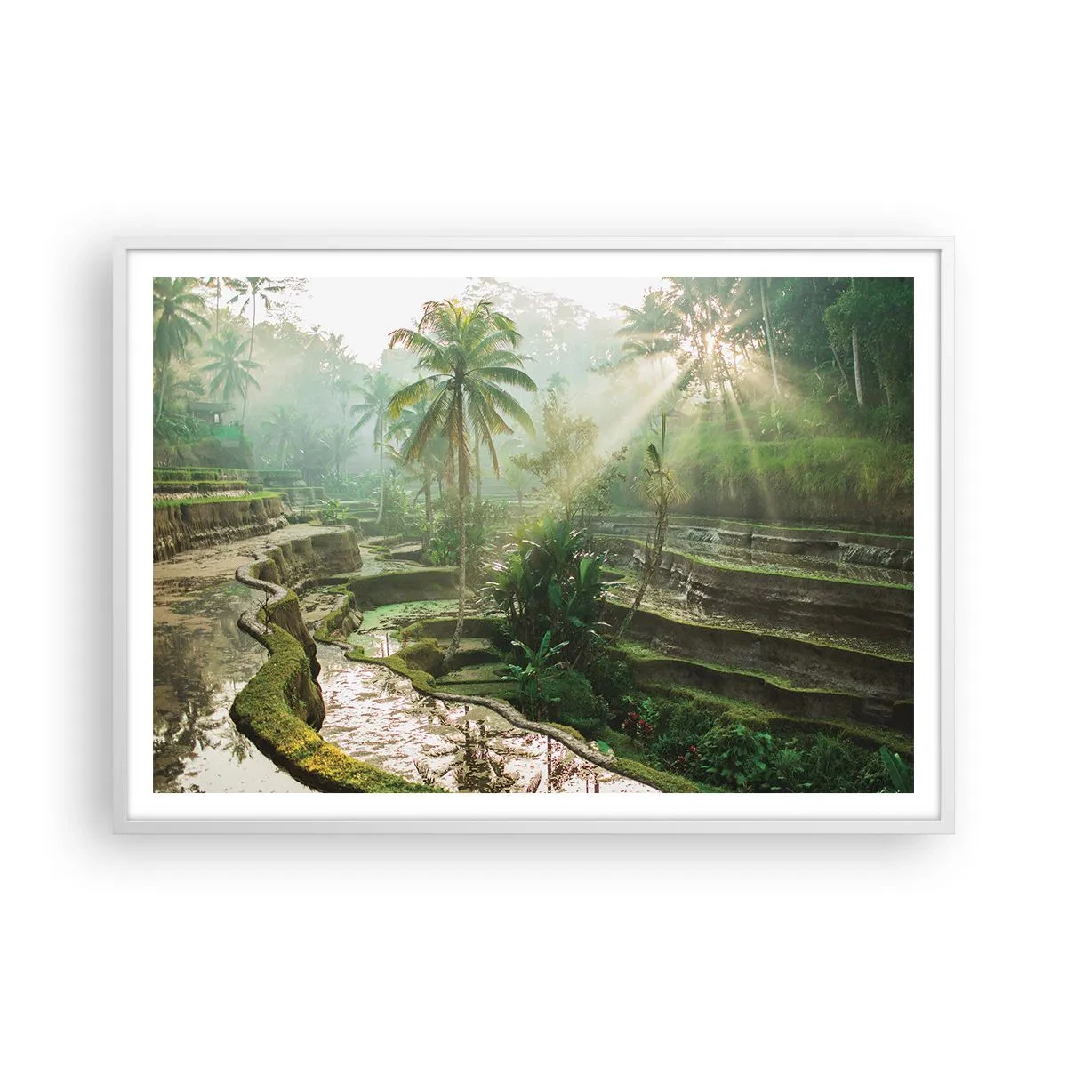 Poszter fekete keretben - Felnőni a napon - 100x70 cm