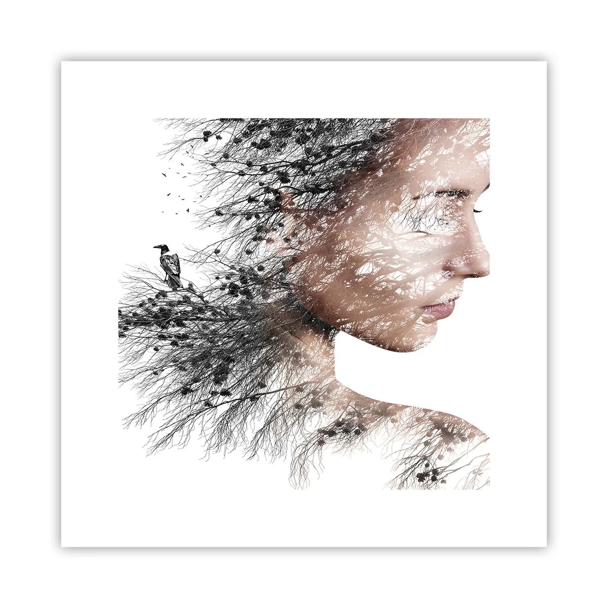 Poszter - Az erdő szelleme - 30x30 cm
