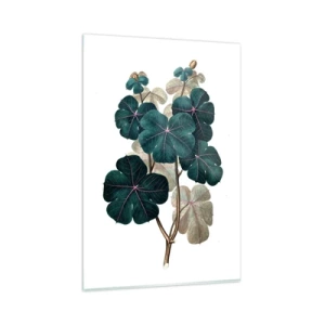 Üveg kép - Egy régi herbáriumból - 80x120 cm