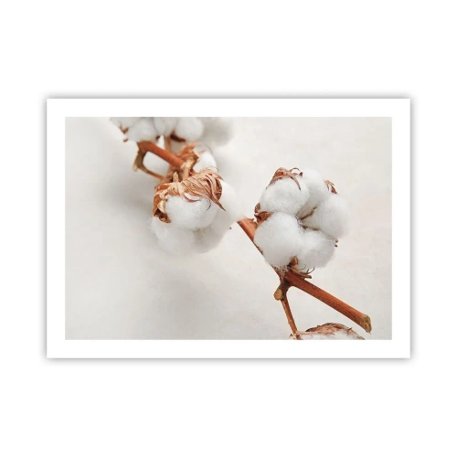 Poszter - Csak ölelkezni - 70x50 cm