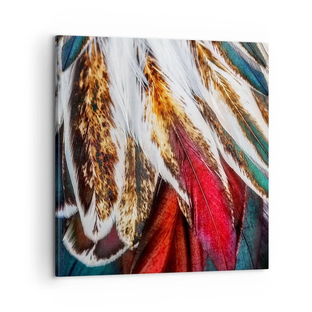Vászonkép - A repülés titkai - 60x60 cm