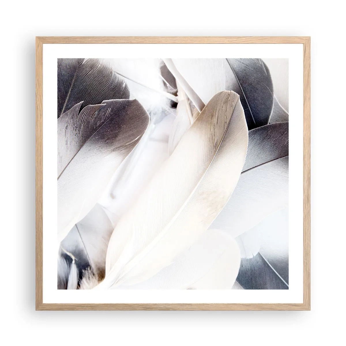 Poszter világos tölgy keretben - Szinte angyali - 60x60 cm