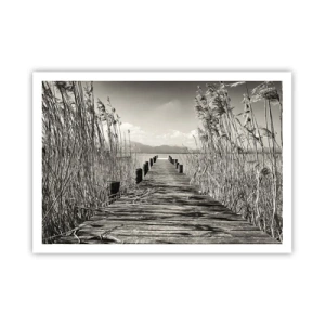 Poszter - A fű csendjében - 100x70 cm