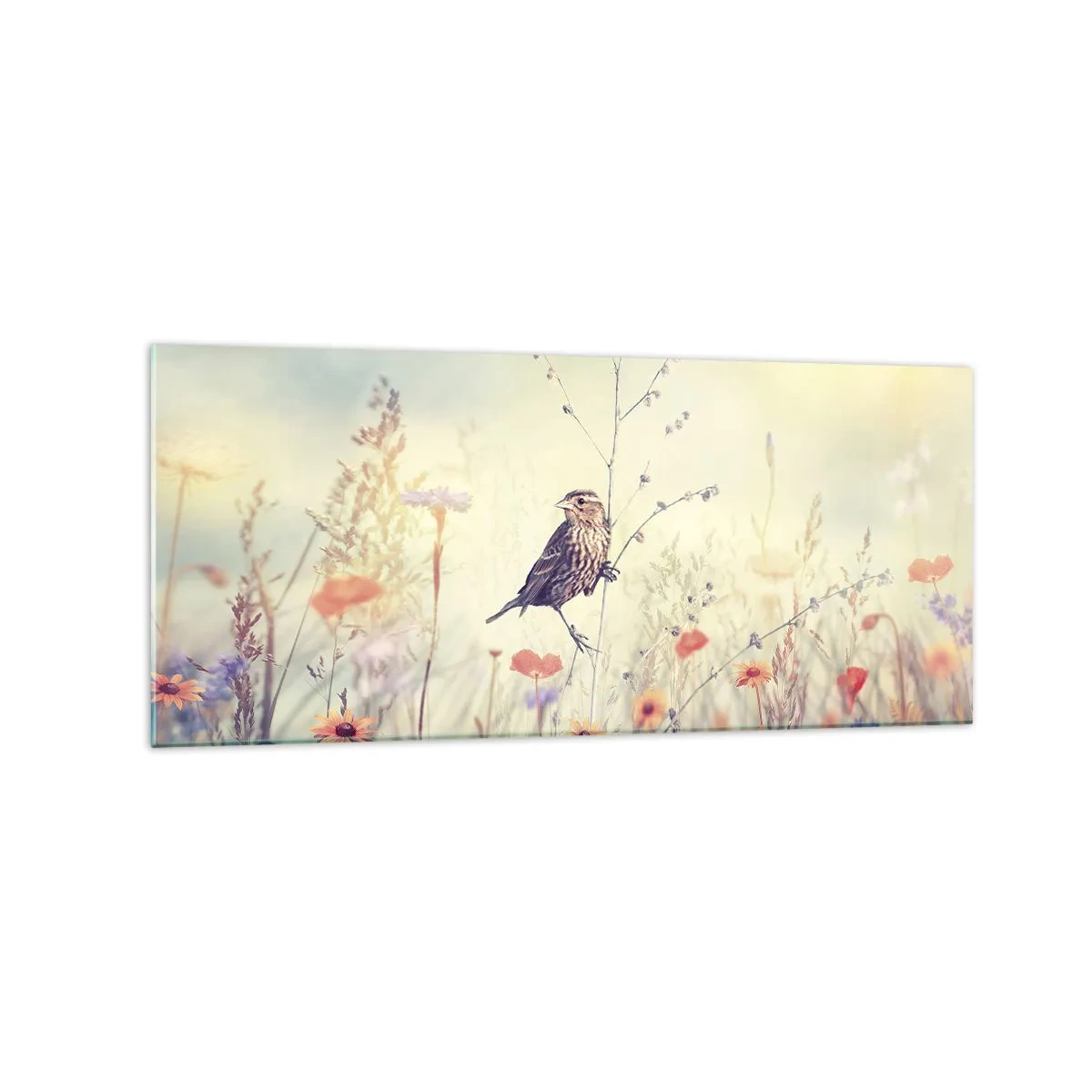Üveg kép - Madárportré egy réttel a háttérben - 120x50 cm
