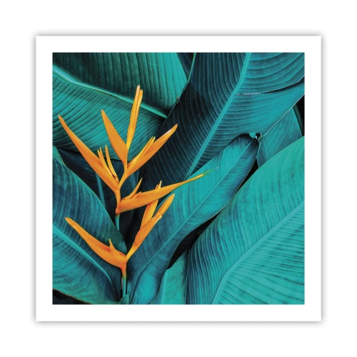 Poszter - Éden virága - 60x60 cm