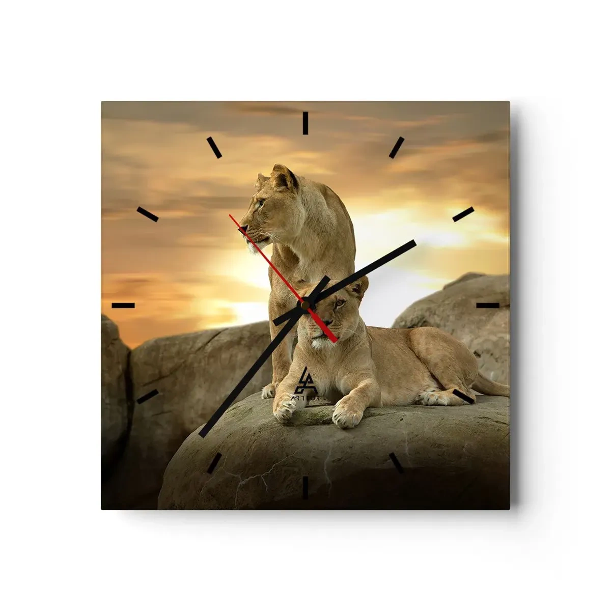 Falióra, Óra - Királyi felség - 40x40 cm