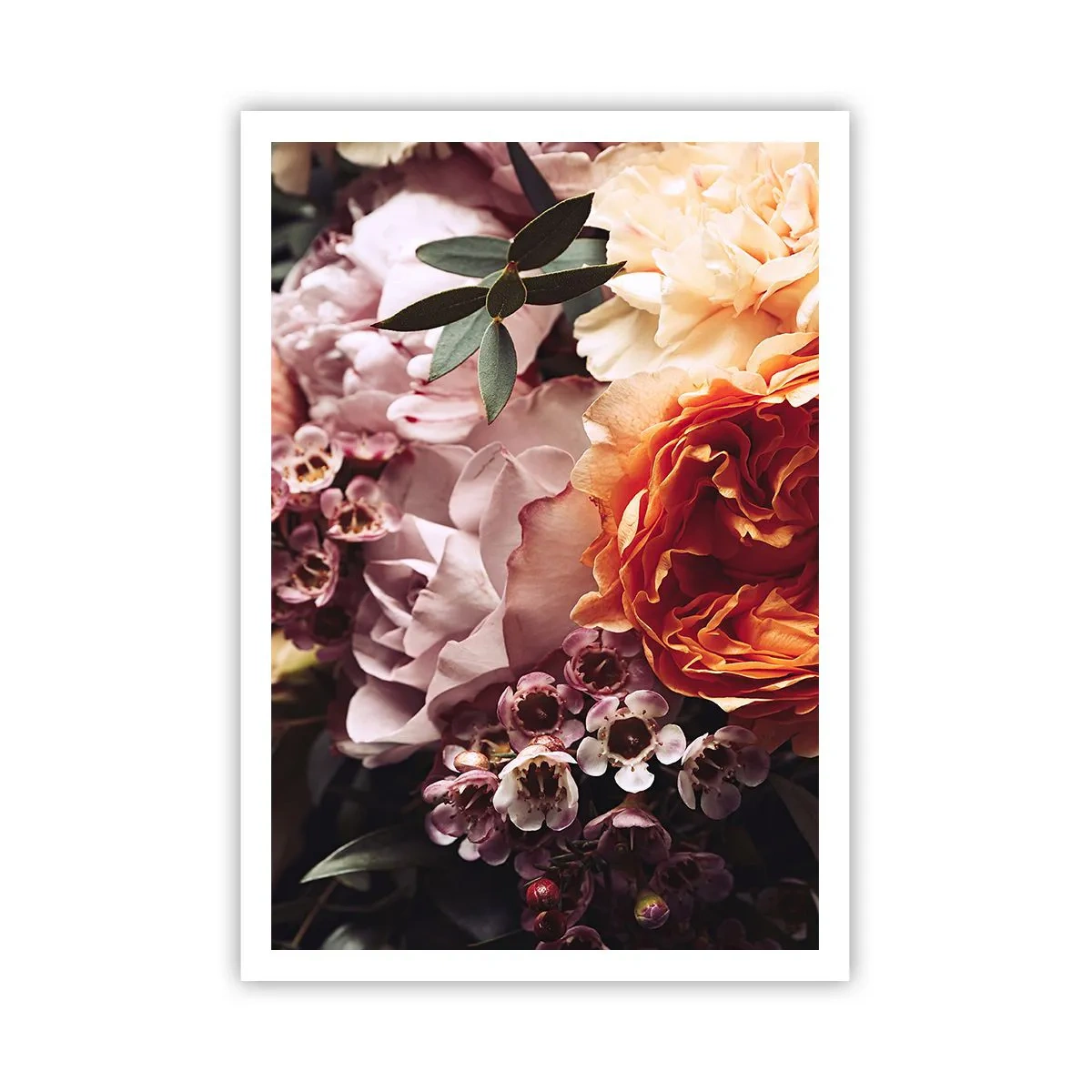 Poszter - Szépségbe burkolózva - 70x100 cm