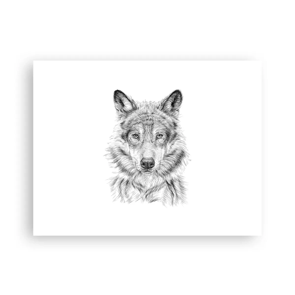 Poszter - Született vezető - 40x30 cm