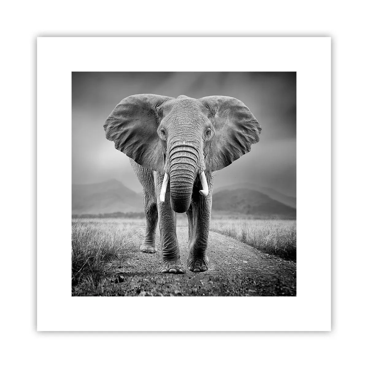 Poszter - A házigazda üdvözli - 30x30 cm